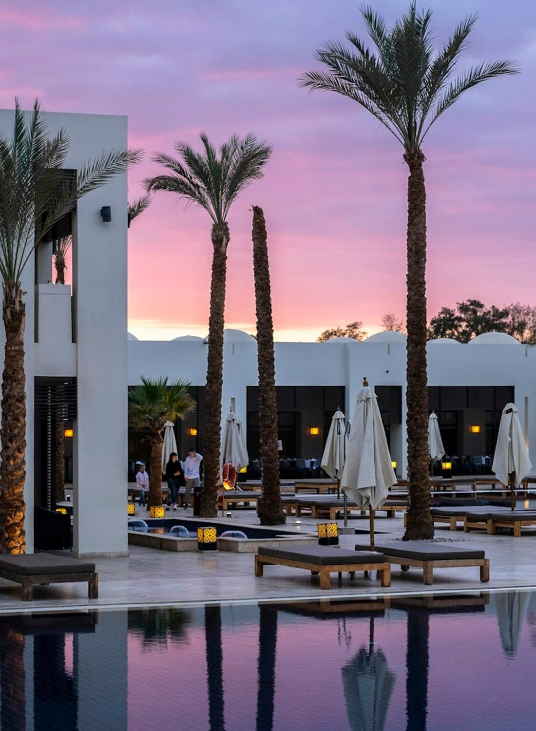 Palm-lined resort terrace at sunset